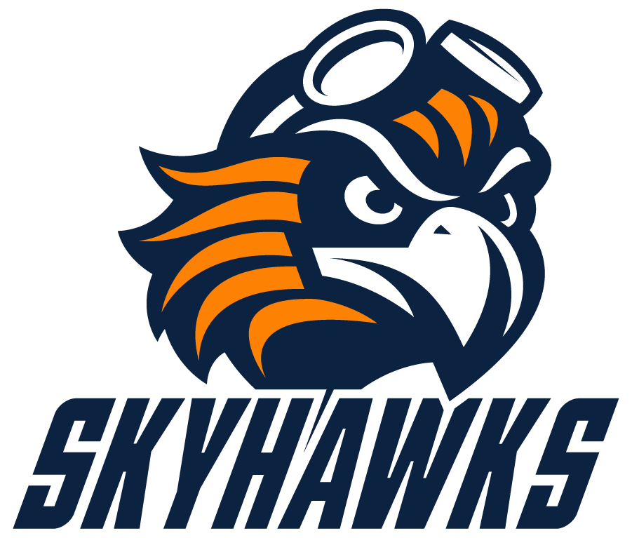 Tennessee-Martin Skyhawks 2020-Pres Alternate Logo v4 diy iron on heat transfer